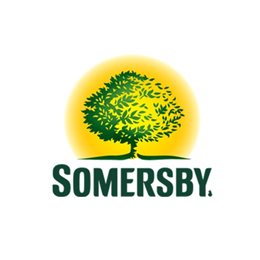  Piwo bezalkoholowe Somersby